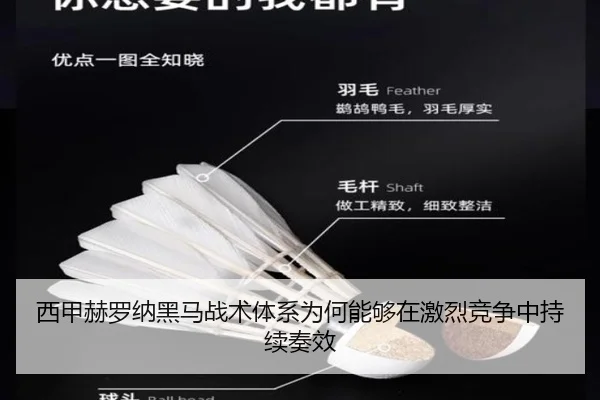 西甲赫罗纳黑马战术体系为何能够在激烈竞争中持续奏效